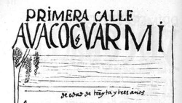 Mujer Aimara Mujer Aimara