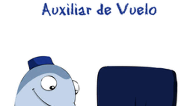 Auxiliar de vuelo Auxiliar de vuelo