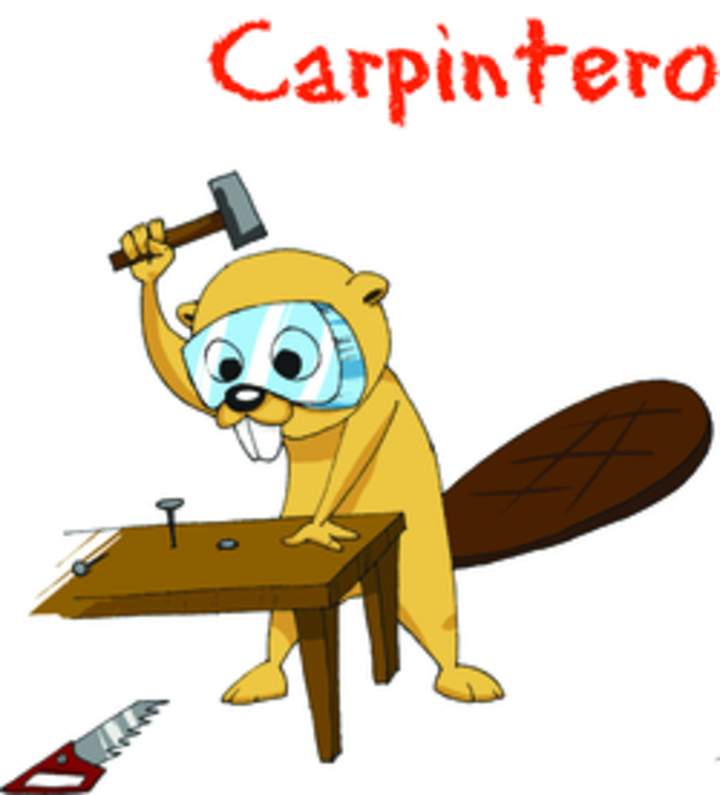 Carpintero Carpintero