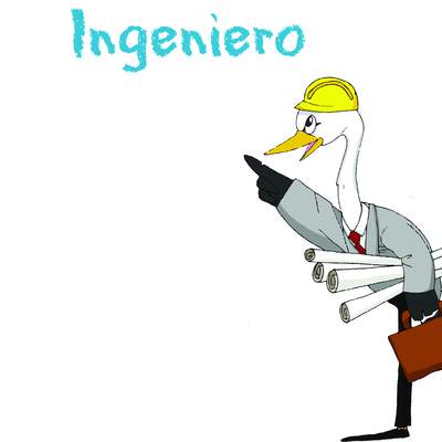 Ingeniero Ingeniero