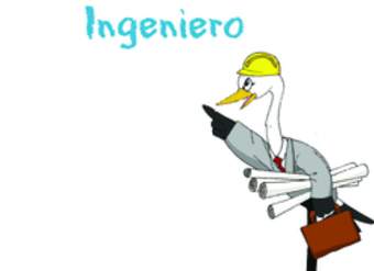 Ingeniero Ingeniero