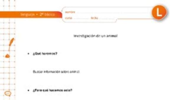 Investigación de un animal Investigación de un animal