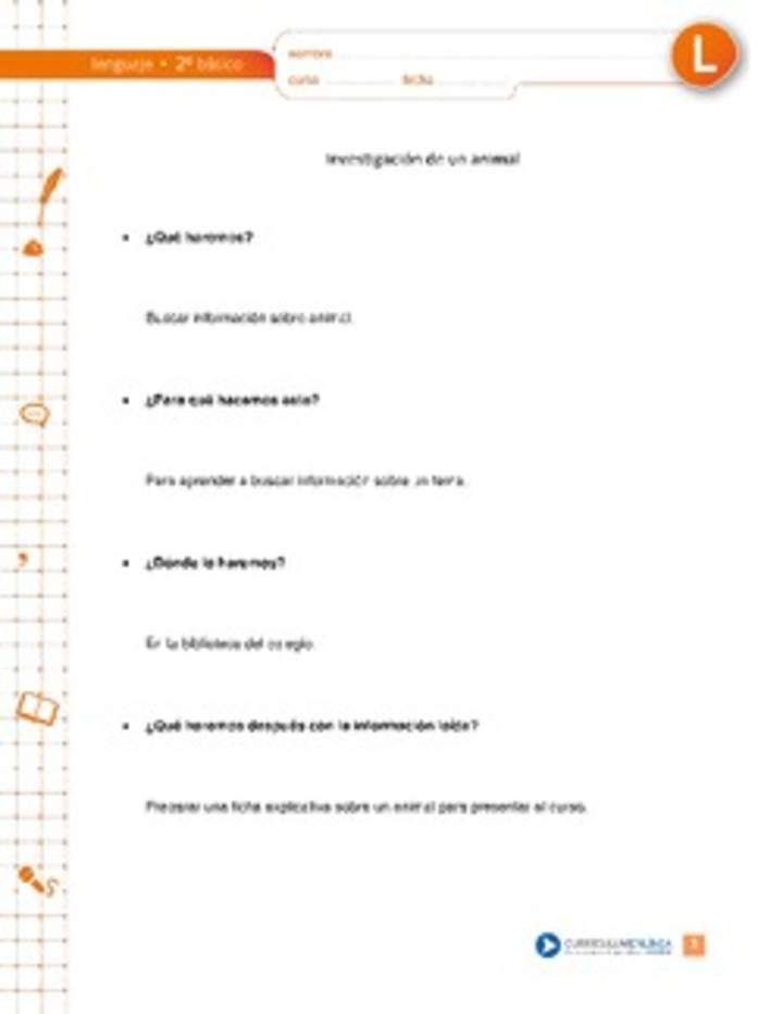 Investigación de un animal Investigación de un animal