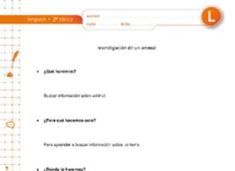 Investigación de un animal Investigación de un animal