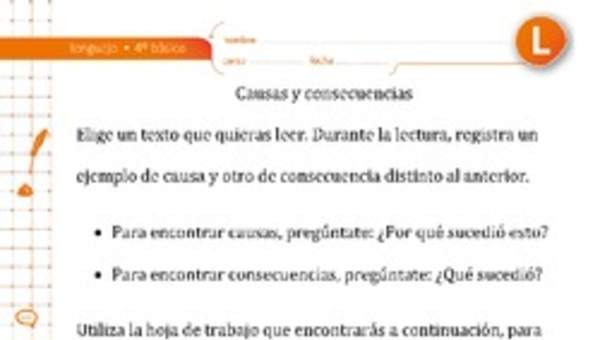 Causas y consecuencias Causas y consecuencias