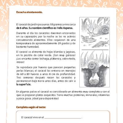 Texto informativo del caracol Texto informativo del caracol