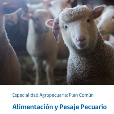 Foto Portada Foto Portada