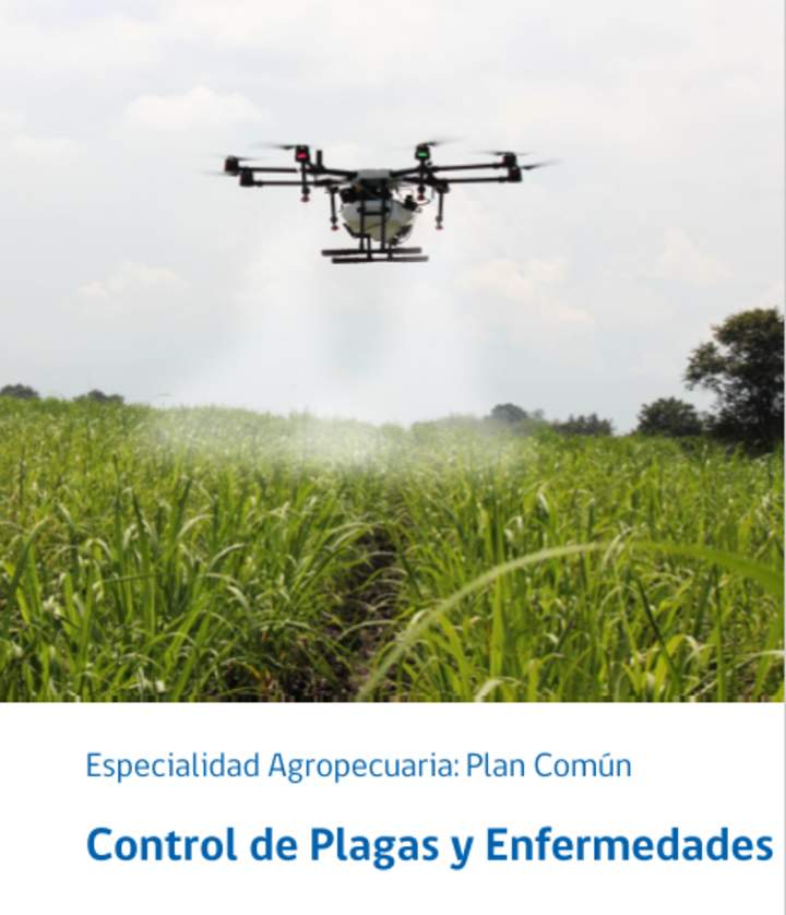 Foto Portada Foto Portada