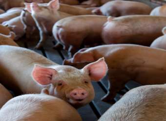 Foto Portada Foto Portada