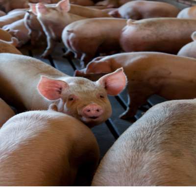 Foto Portada Foto Portada