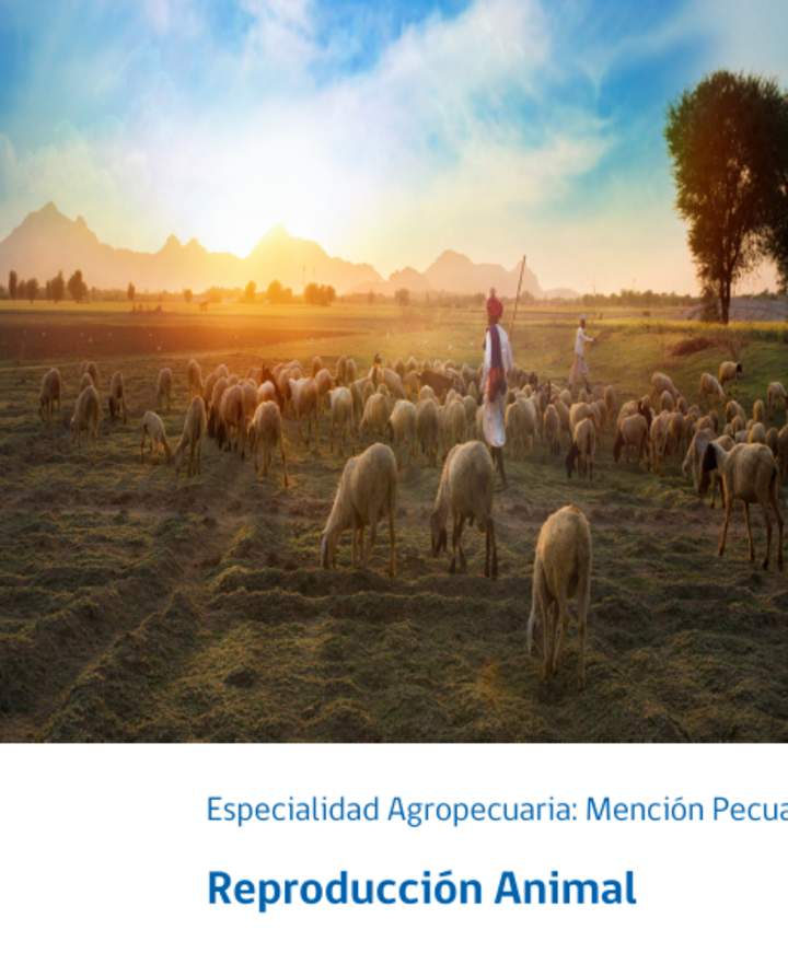 Foto Portada Foto Portada