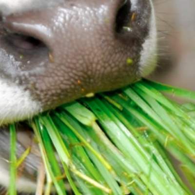 Foto Portada Foto Portada