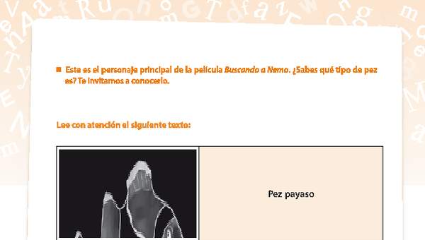 Pez payaso Pez payaso