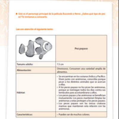 Pez payaso Pez payaso