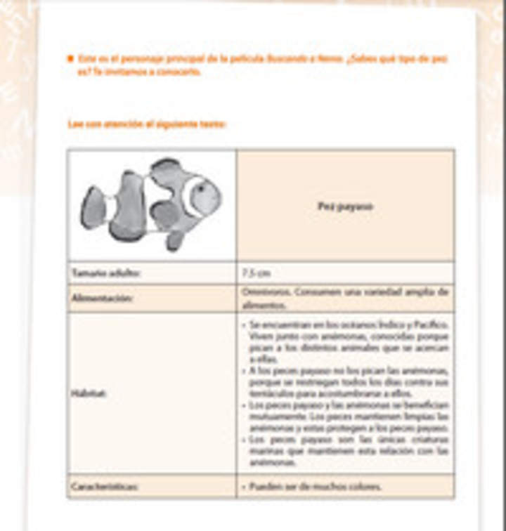 Pez payaso Pez payaso