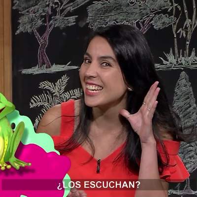 AprendoTV 2021 - Pre-kinder y Kinder - Capítulo 11: Festival de Otoño AprendoTV 2021 - Pre-kinder y Kinder - Capítulo 11: Festival de Otoño