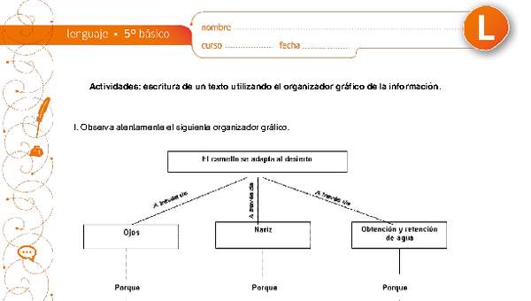 Escritura de un texto utilizando el organizador gráfico de la información Escritura de un texto utilizando el organizador gráfico de la información