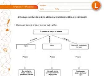 Escritura de un texto utilizando el organizador gráfico de la información Escritura de un texto utilizando el organizador gráfico de la información