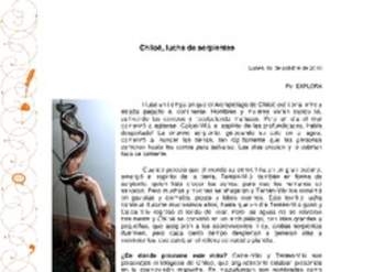 Chiloé, lucha de serpientes Chiloé, lucha de serpientes