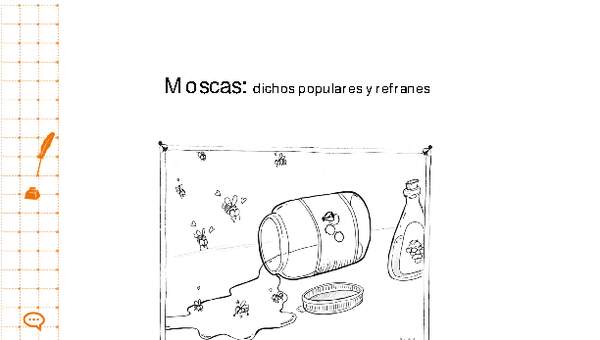 Moscas: dichos populares y refranes Moscas: dichos populares y refranes