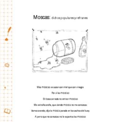 Moscas: dichos populares y refranes Moscas: dichos populares y refranes