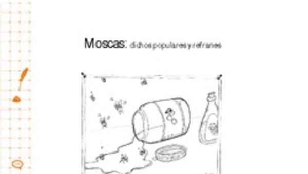 Moscas: dichos populares y refranes Moscas: dichos populares y refranes