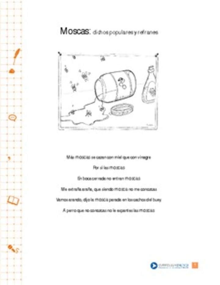 Moscas: dichos populares y refranes Moscas: dichos populares y refranes