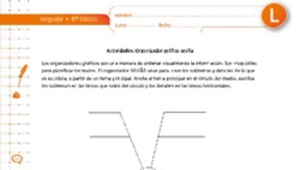 Organizador gráfico araña Organizador gráfico araña