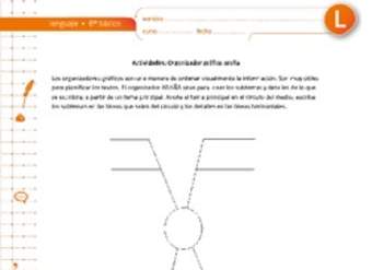 Organizador gráfico araña Organizador gráfico araña