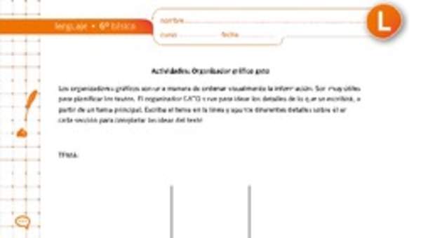 Organizador gráfico gato Organizador gráfico gato