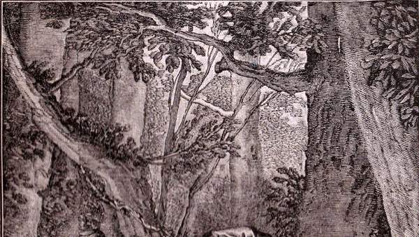 Imagen para microcuento "El médico a palos" Imagen para microcuento "El médico a palos"