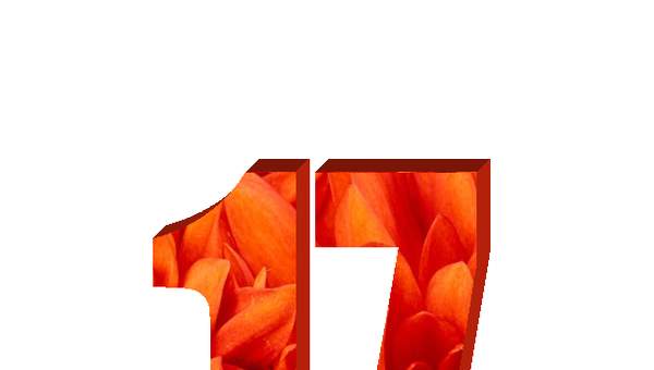 Número diecisiete Número diecisiete