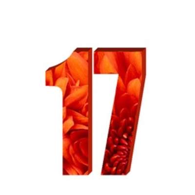 Número diecisiete Número diecisiete