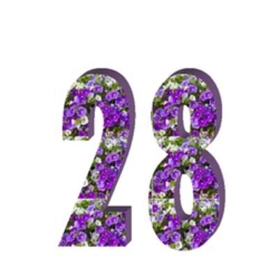 Número veintiocho Número veintiocho