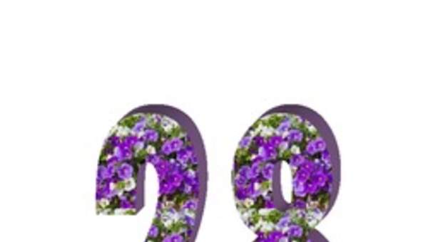 Número veintiocho Número veintiocho