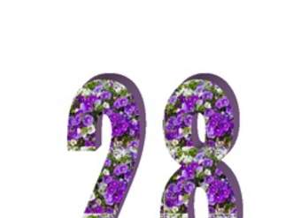 Número veintiocho Número veintiocho