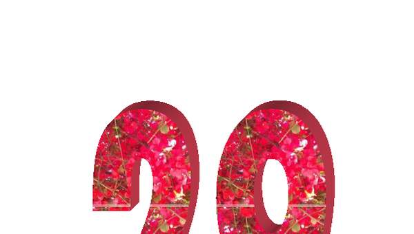 Número veintinueve Número veintinueve