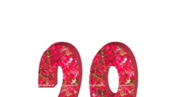 Número veintinueve Número veintinueve