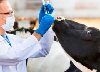 Foto Portada Foto Portada