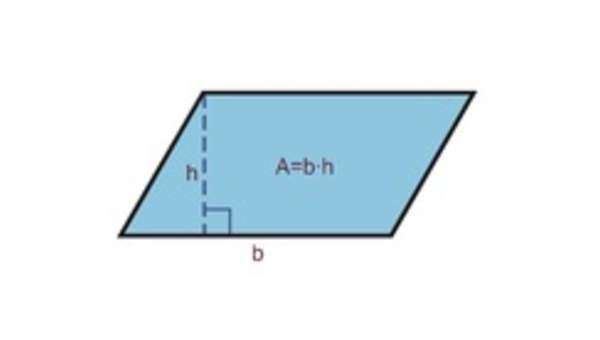 Área de un paralelogramo Área de un paralelogramo