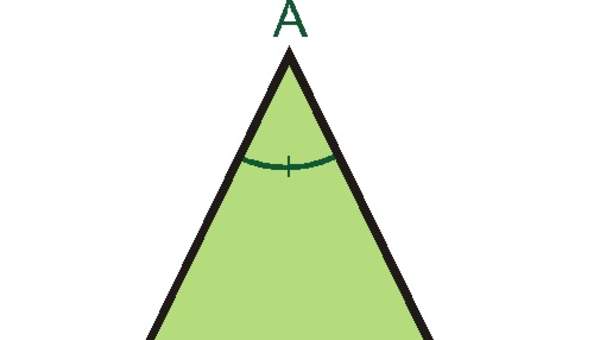 Triángulo acutángulo Triángulo acutángulo