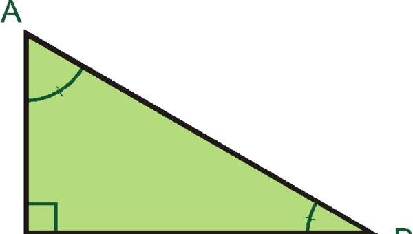 Triángulo rectángulo Triángulo rectángulo