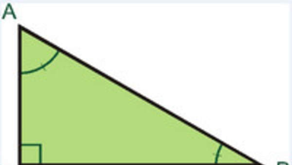 Triángulo rectángulo Triángulo rectángulo