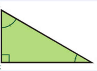 Triángulo rectángulo Triángulo rectángulo