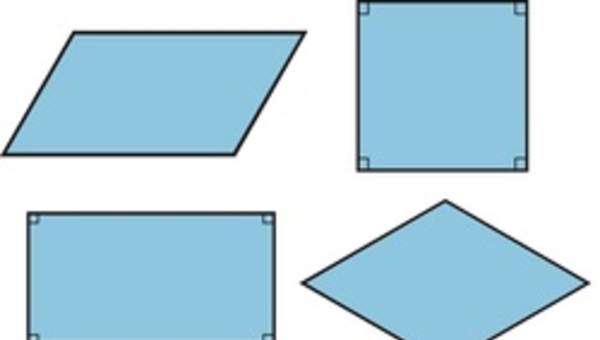 Paralelogramos Paralelogramos