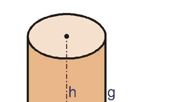 Elementos del cilindro Elementos del cilindro