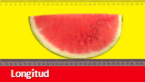 Longitud en metros Longitud en metros