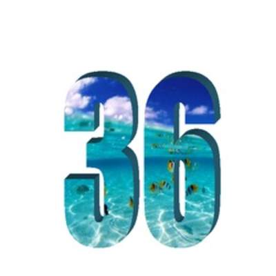 Número treinta y seis Número treinta y seis