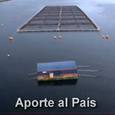 Video: Opciones laborales en el Mar