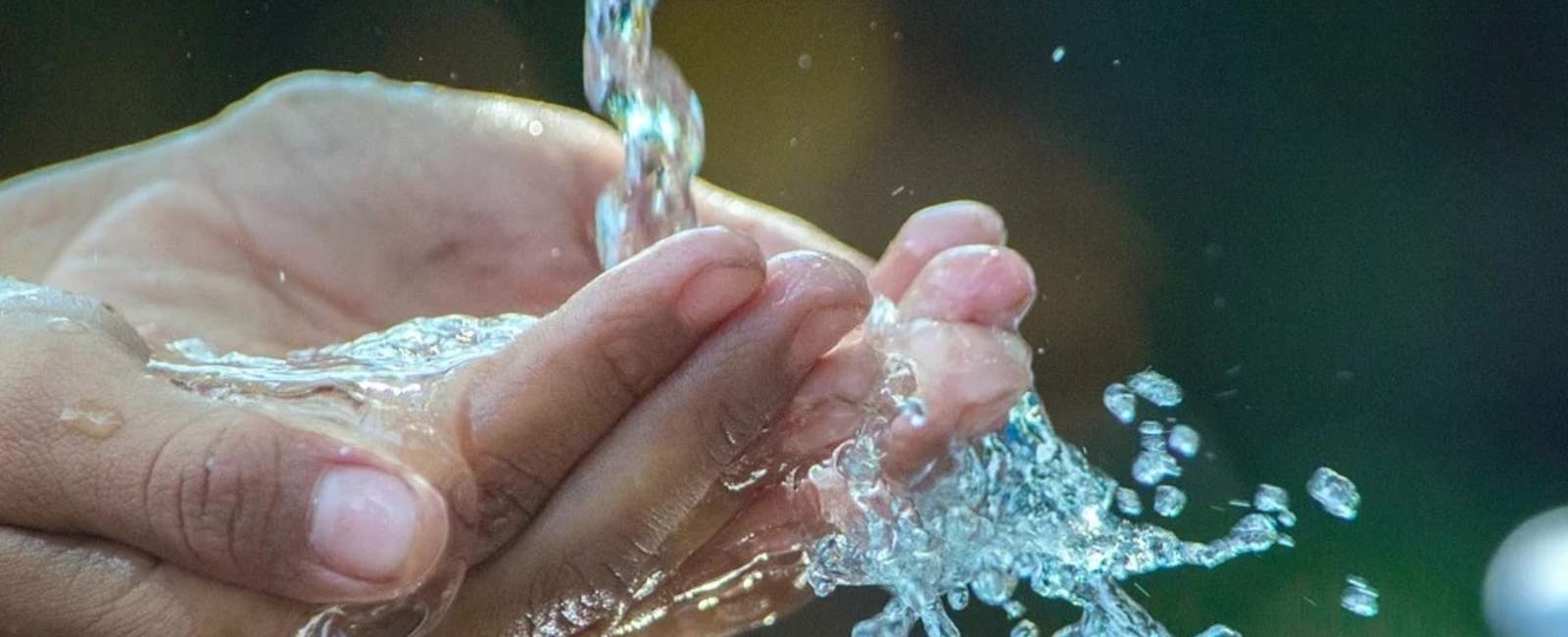 La importancia del agua La importancia del agua